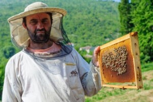 Dobra pčelarska praksa susjeda iz Slovenije