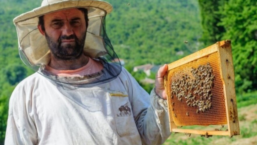 Dobra pčelarska praksa susjeda iz Slovenije