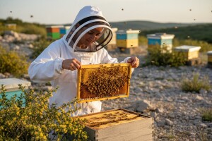 Pčelari na glasu kao najeduciraniji