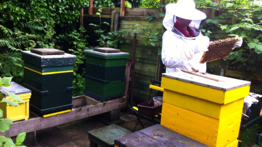 Županija daje potpore za 520 pčelara!
