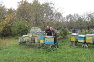 Na 50 košnica dobili samo 100 kg meda za vlasite potrebe