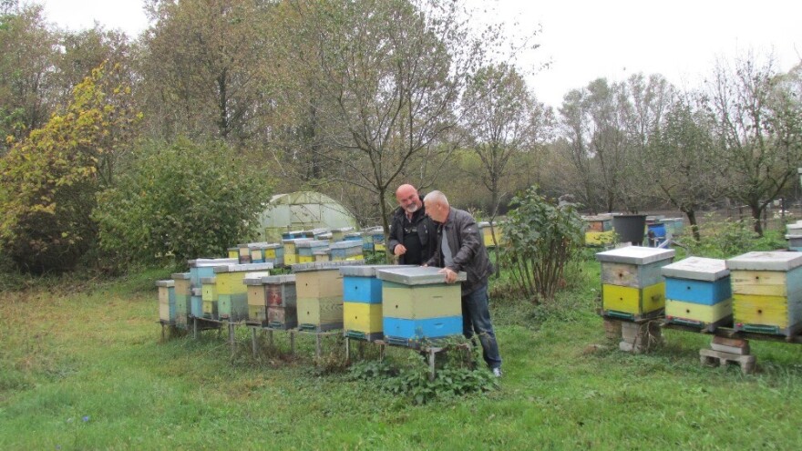 Na 50 košnica dobili samo 100 kg meda za vlasite potrebe
