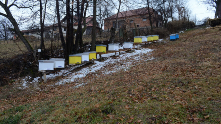 Seliti košnice na veće nadmorske visine?