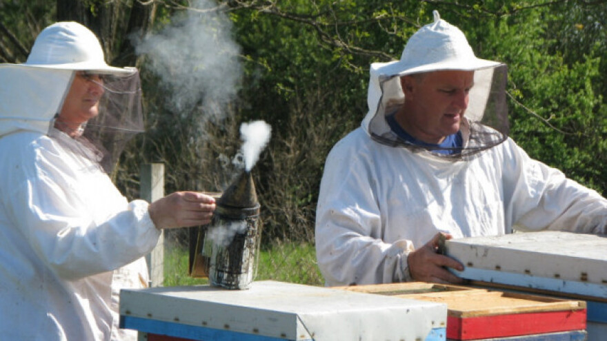 Godišnje proizvedu pet tona meda