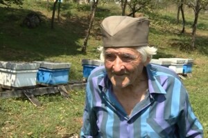 Anđelkovi leteći farmaceuti spasili mu život dva puta i sad pčelari sa 93 godine