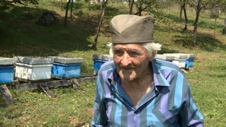 Anđelkovi leteći farmaceuti spasili mu život dva puta i sad pčelari sa 93 godine