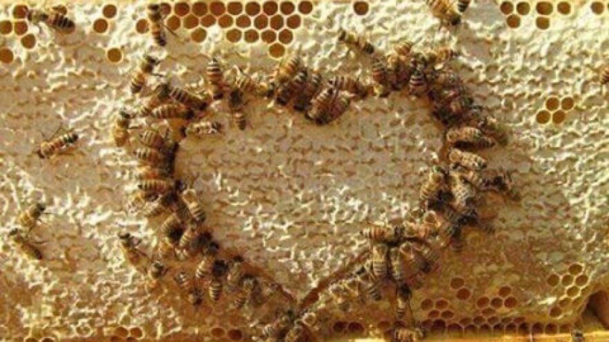 Festival pčelarstva Zagrebačke županije