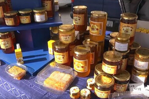 Pčelari pokrenuli proceduru zaštite domaćeg meda