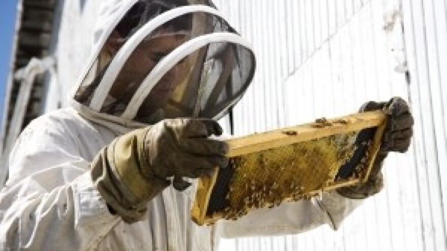 135 godina djelovanja Udruge "Pčela"