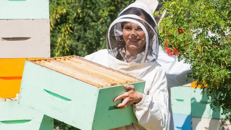 Pad u količini meda nadoknadili kvalitetom!