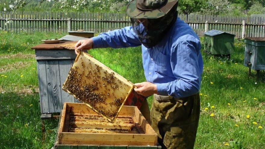 Profesionalizacija pčelarstva kroz Bee Promoted!