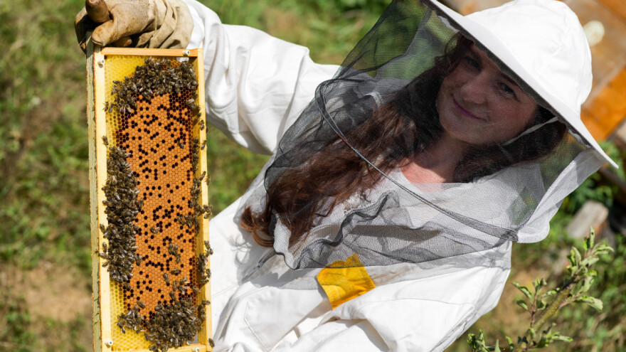 Žene u pčelarstvu Republike Hrvatske - poduzetnice i znanstvenice