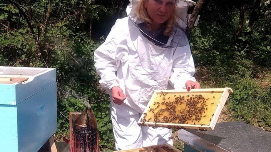 Kako je ekonomiju odlučila da zameni pčelarstvom?