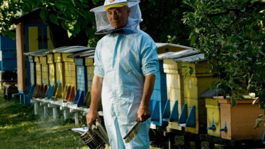 Pripremite zimsku ispašu za pčele!