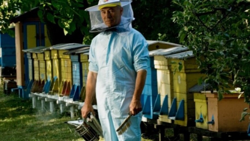 Pripremite zimsku ispašu za pčele!