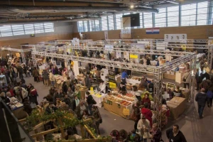 Prijave za Dane meda u Pazinu!