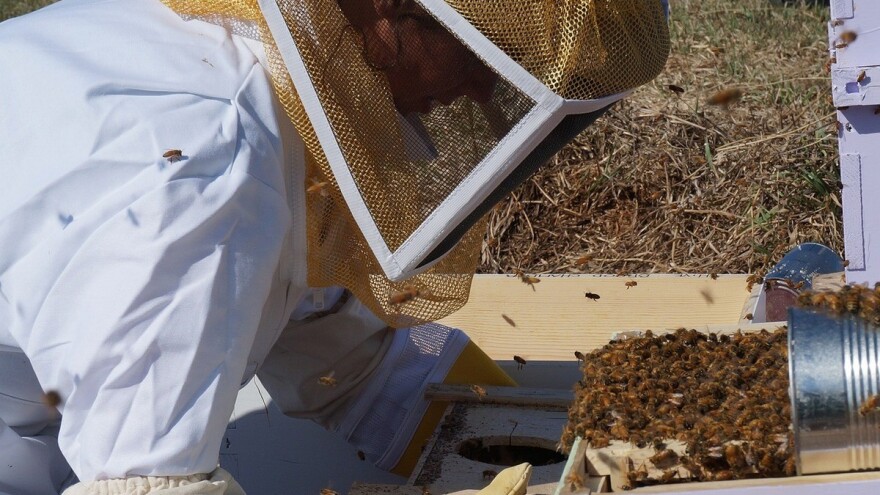 Dijele košnice s rojevima i pratećom opremom mladim i budućim pčelarima