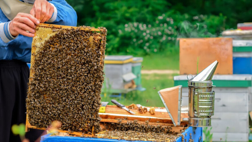 Na 1 KM izvoza meda je oko 8 KM uvoza