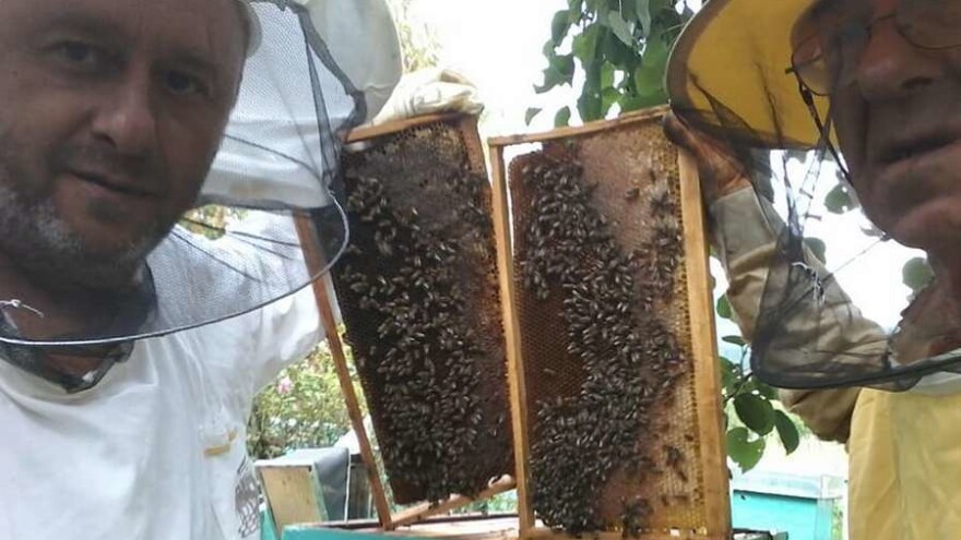 Senadin Didik: Svi su bolje organizirani od pčelara, zato u udruženja treba birati prave pčelare i poštene ljude