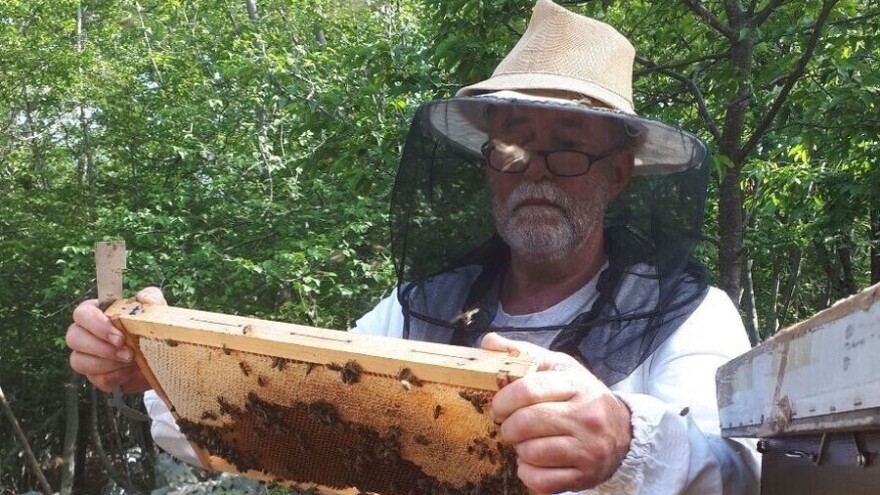 Sve o pčelama naučio je od tate Vlade, med i medice Roberta Kosa obišli cijeli svijet