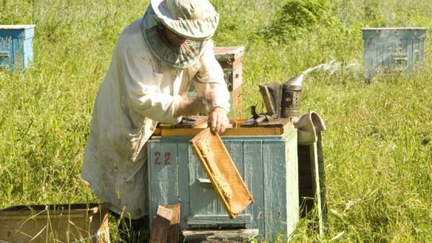 Od hobija do profitabilnog zanimanja!