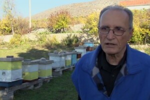 Kvaliteta meda - put do kupaca