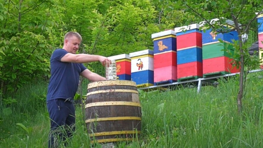 Damir Martić rojenjem u pčelinjaku sprječava pojavu varoe