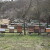 U ovoj godini 3,77 milijuna eura pčelarima - evo popisa intervencija i rokova prijave