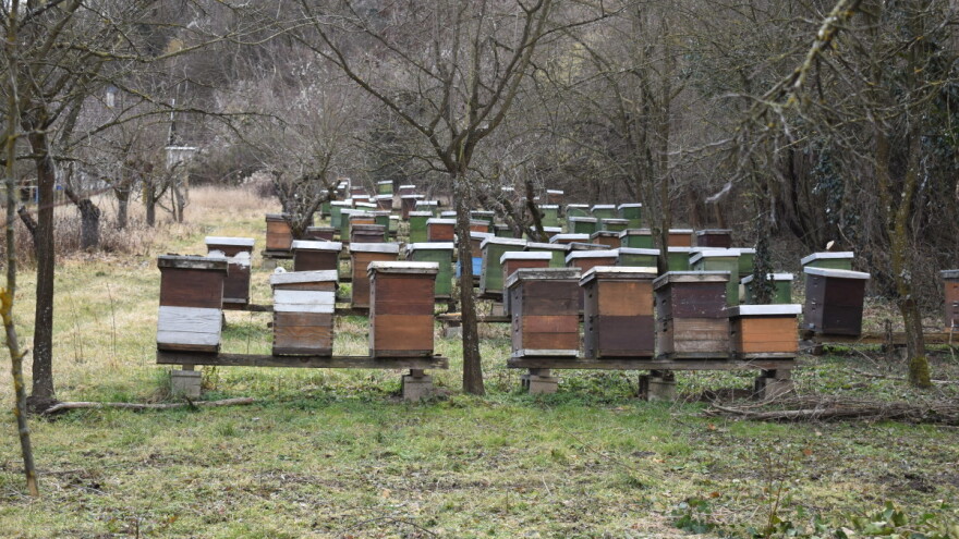 Prosinac u pčelinjaku: Što se sve može napraviti tijekom zimskog razdoblja?