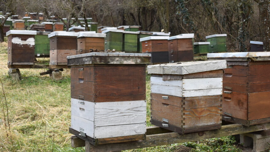 Radovi u pčelinjaku tokom decembra