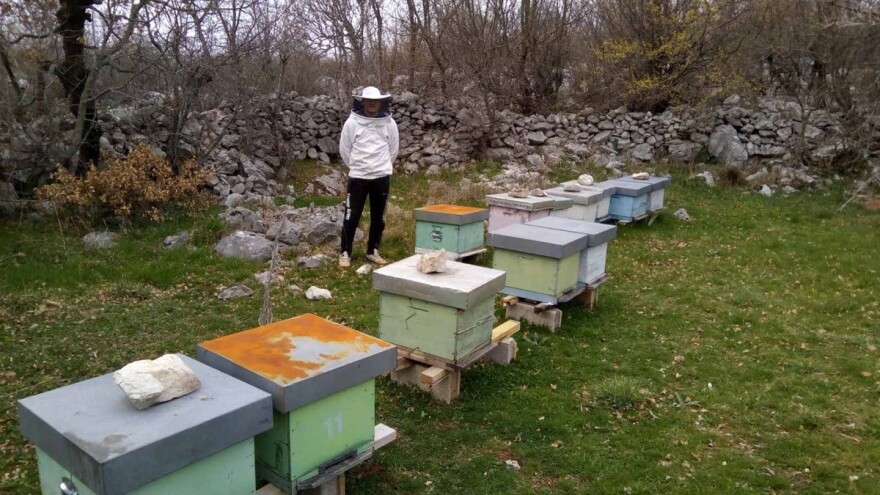 Imaju više košnica nego stanovnika i prave odličan med