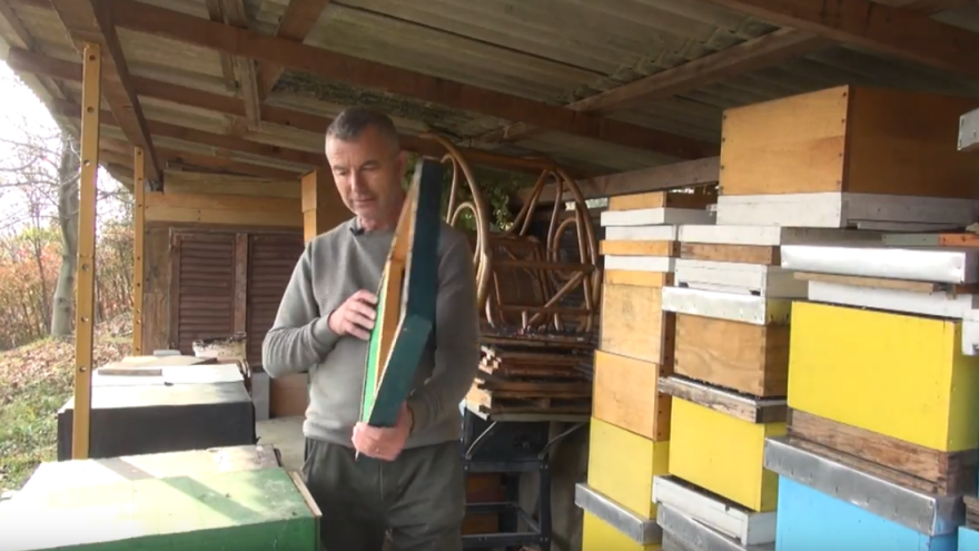 Vrijeme zbunjuje i pčele, matice polažu jaja, a radilice traže pelud i unose ga u košnicu