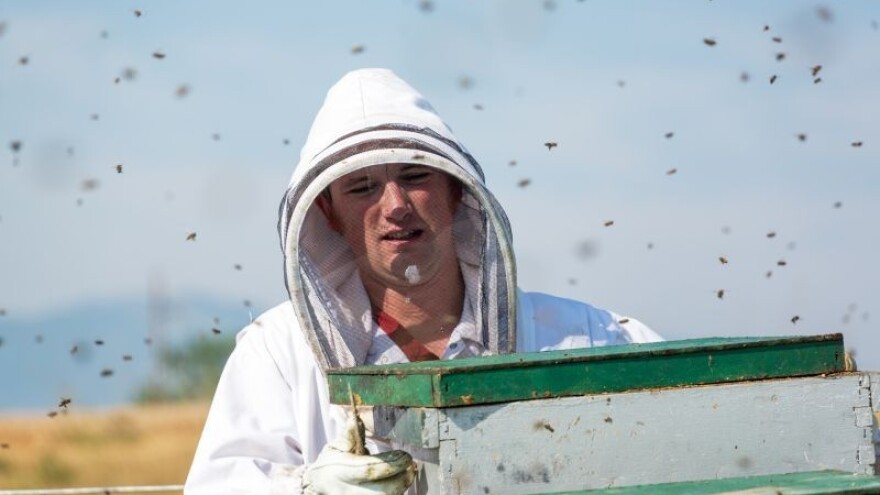 Europska medonosna pčela glavni prenositelj bolesti