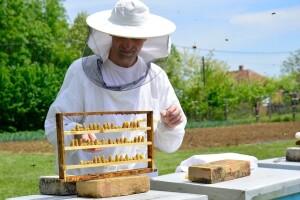 Domaći med dobio HACCP i ISO standarde i uskoro na EU tržištu