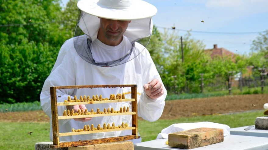 Domaći med dobio HACCP i ISO standarde i uskoro na EU tržištu