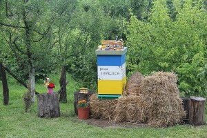 Pčelinjaci Kraljica: Porodična tradicija duga 22 godine