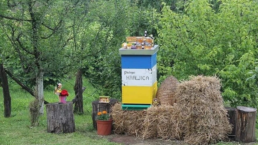 Pčelinjaci Kraljica: Porodična tradicija duga 22 godine