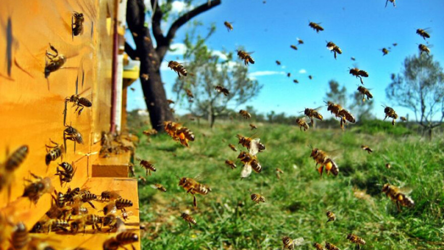 Hrvatski med uskoro u nacionalnoj staklenki