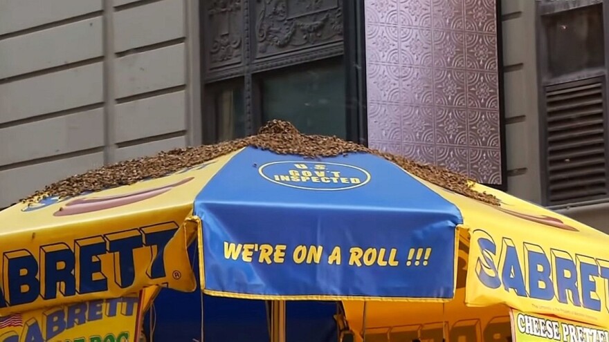 20.000 pčela okupiralo Times Square u New Yorku