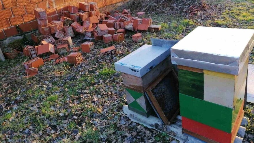 Pčele na Banovini počele masovno ugibati