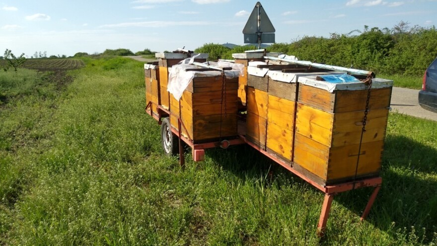 Autom pa nogama uništili više od 50 košnica - protiv dvojice mladića podignuta optužnica