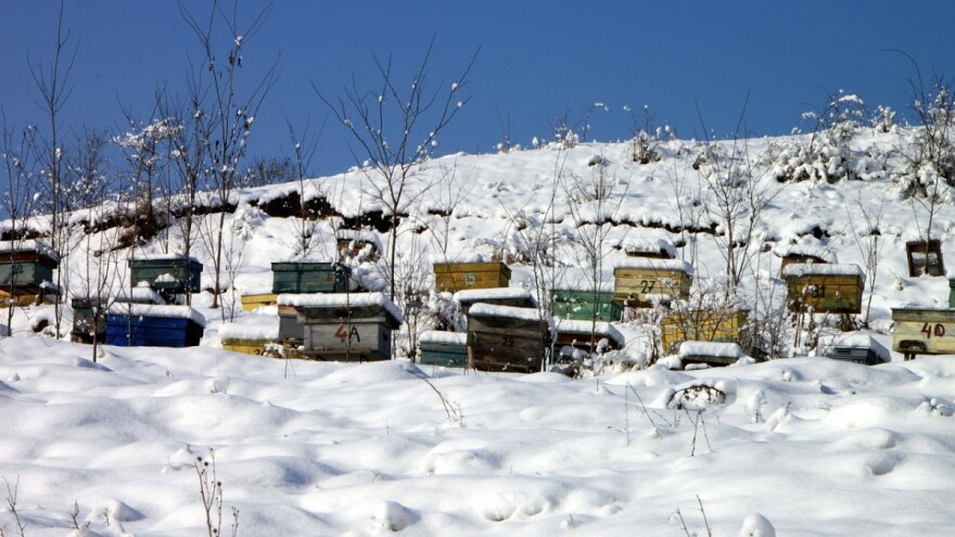 Teba li čistiti krovove pčelinjaka od snega?