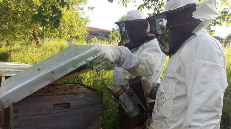 Pčelari se udružili u proizvođačku organizaciju