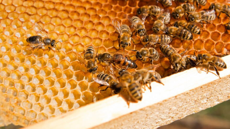 SPOS i Opština Rača postigli konačan dogovor