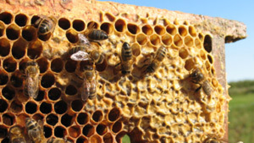 Pčelarima sporan način raspodjele poticaja