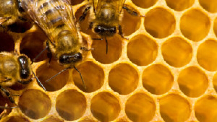 Pčelari pokupili zlatne medalje na sajmu Agra