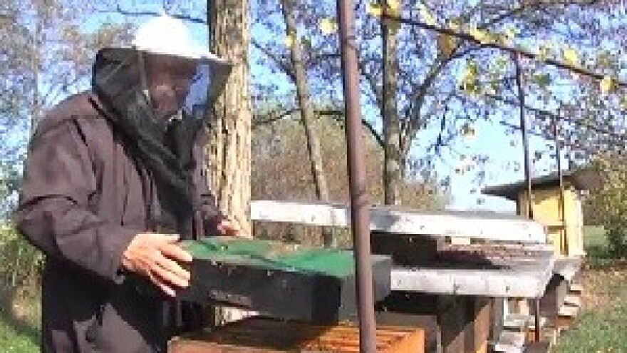 Tretiranje pčelinjih zajednica potiv varoe