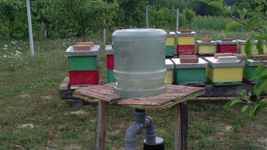 Pčelama je potrebna voda - napojite ih