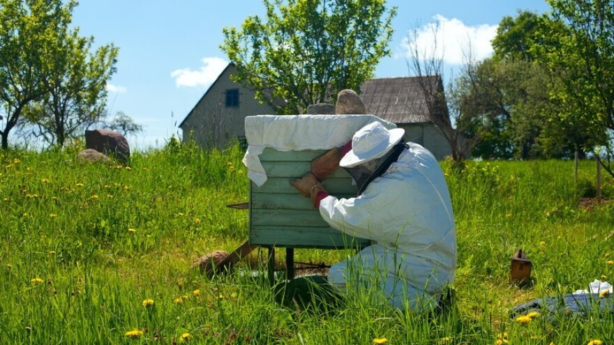 Pčele postaju ovisne o pesticidima?