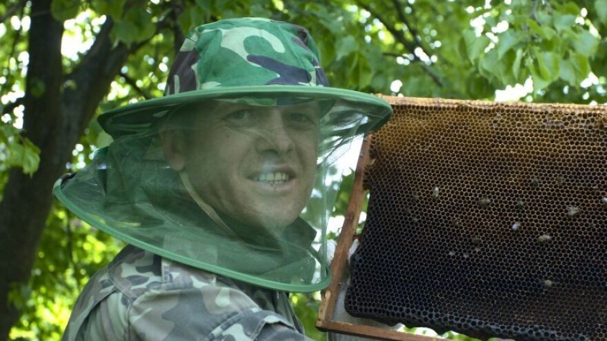 Autocesta za pčele u Oslu